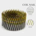 Professional High Quality Steel Cap Nails with Nice Price